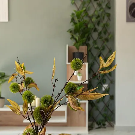 Modern Near The Sea *